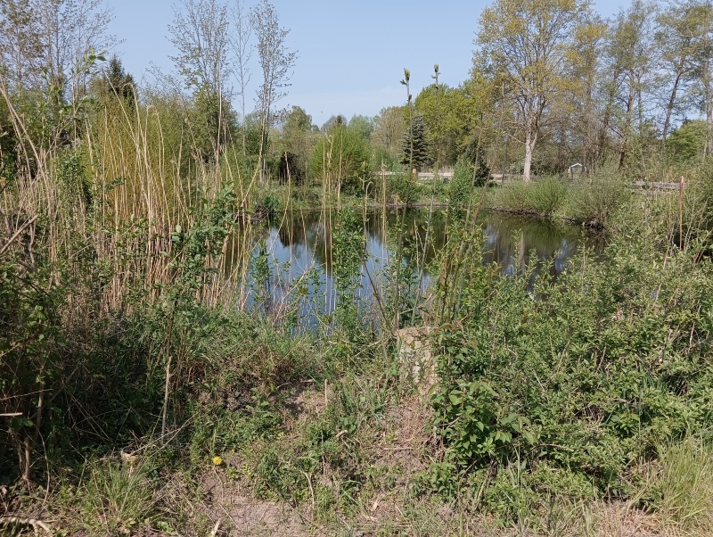 camping,campingplatz,mobilheim,erholung,resort,langlingen,campingplatz mit eigener toilette,wohnmobil