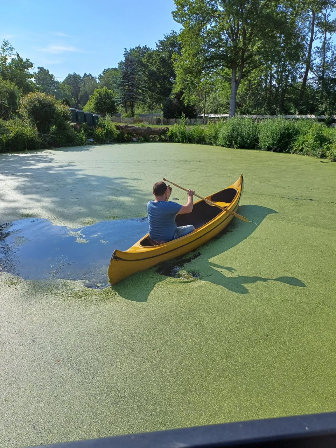 Jetzt geht es dem Entenflott an den Kragen Camping Resort Langlingen